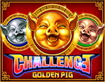 Challenge: Golden Pig